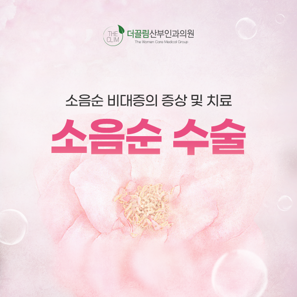 소음순 비대증의 증상 및 치료 소음순 수술